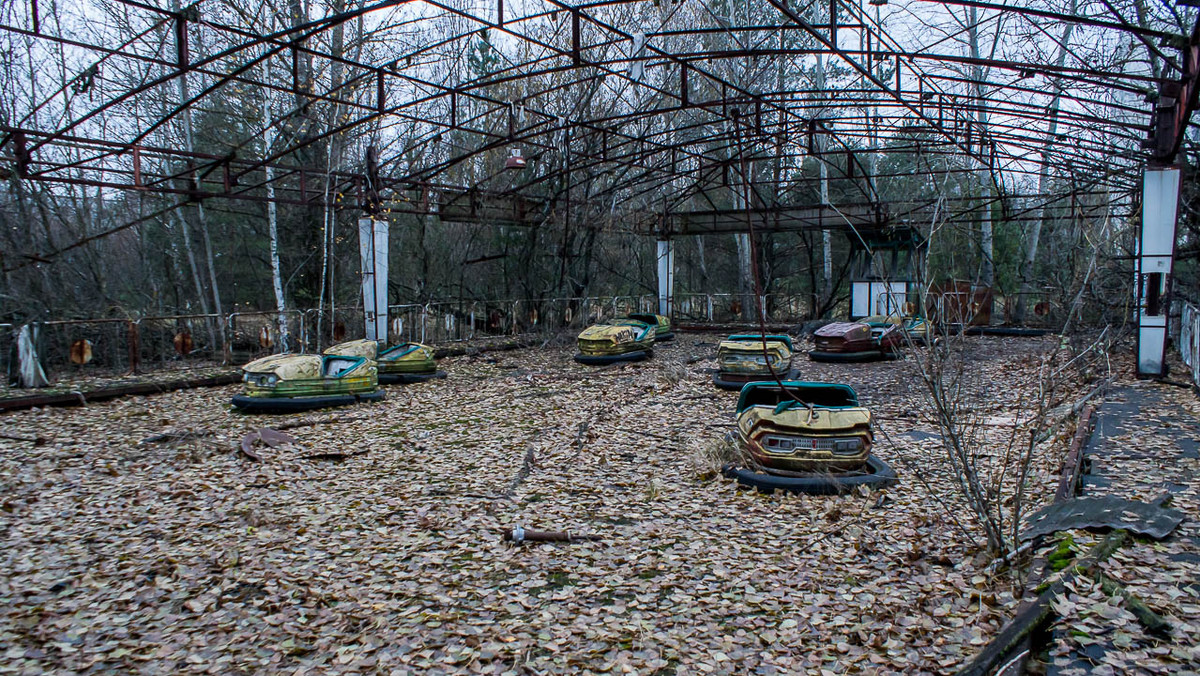 Czarnobyl. Śmiertelnie niebezpieczne znalezisko w lesie koło Prypeci