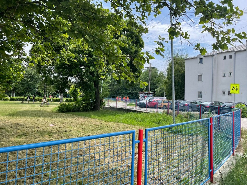 Komšije o Aleksandri Nikolić