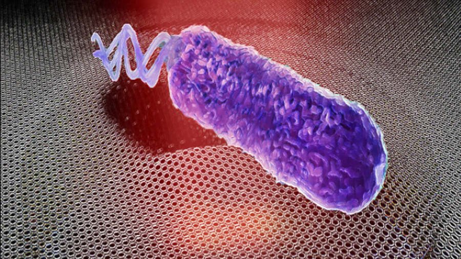 Podsłuchiwanie bakterii. Nanotechnologia ujawnia dźwięki wydawane przez drobnoustroje, fot. Irek Roslon, TU Delft