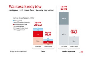 Złoty będzie słabł. Silny dolar uderzy w rynki wschodzące