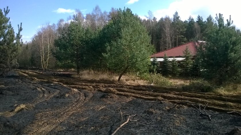 Spłonęły dwa budynki i 7 hektarów nieużytków