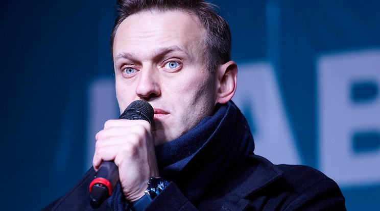Alekeszej Navalnij /Fotó: Wikipédia