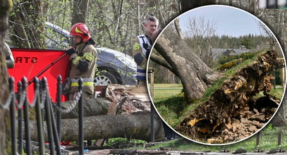 Tragiczna śmierć rodziny w Rabce-Zdroju. Tymek i jego mama razem ruszą w ostatnią drogę