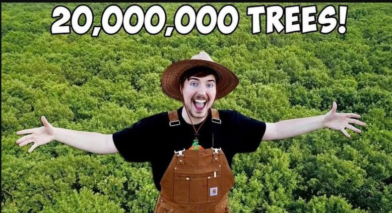 mrbeast teamtrees