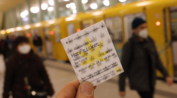 Ehető kenderolajos jegy kapható a héten Berlinben / Fotó: Getty Images