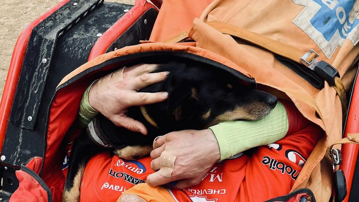 GOPR: pies nie opuścił właściciela, który uległ wypadkowi w Beskidach