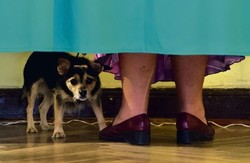 Geriatryzacja życia politycznego. To nie jest demokracja dla młodych ludzi