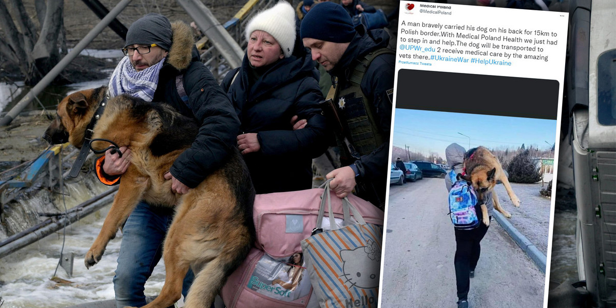 Ukraińcy ewakuują się z ogarniętej wojną ojczyzny zabierając ze sobą ukochane zwierzaki.