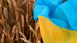 Bloomberg: Ukrainę niepokoi porozumienie Turcji i Rosji w sprawie eksportu ukraińskiego zboża