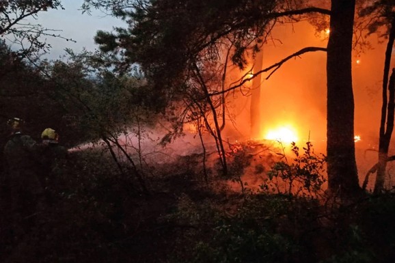 POŽAR GUTA DELIBLATSKU PEŠČARU Vatrena stihija zahvatila više od 1.500 hektara: U gašenju učestvuje više od 400 ljudi (FOTO, VIDEO)