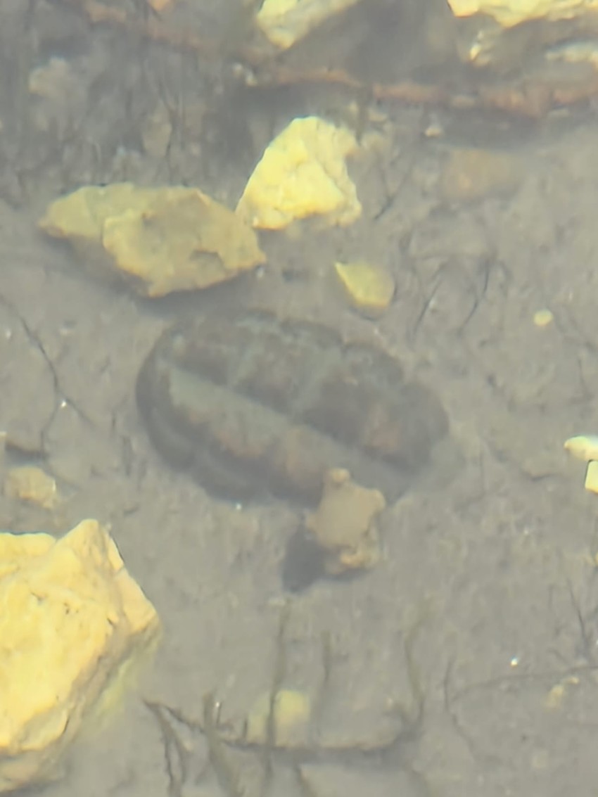 Bomba koja je danas pronađena