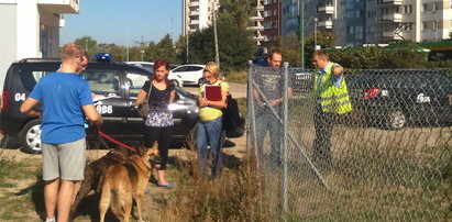 Strażnicy sprawdzili wybiegi dla psów