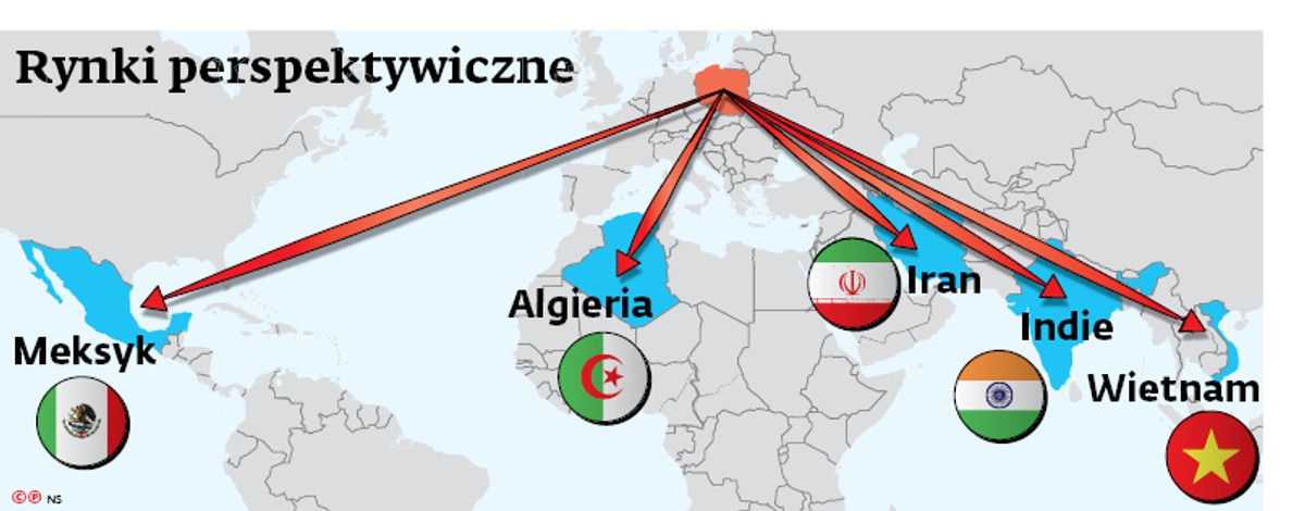 Rynki perspektywiczne