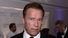 Arnold Schwarzenegger melegebb éghajlatra küldte el a világ vezetőit – Milliók nézik most ezt a videót