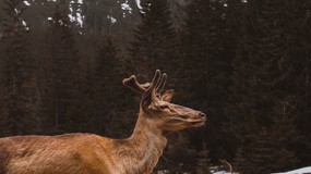 Nieodpowiedzialne zachowanie turystów w Tatrach. Miało być jak w bajce, a był szok