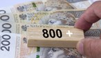 ZUS otwiera nabór na 800 plus. Jeden termin zdecyduje o wypłacie