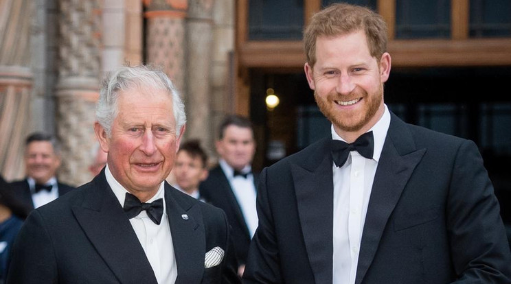 Károly király semmit nem bíz Harry hercegre / Fotó: Getty Images