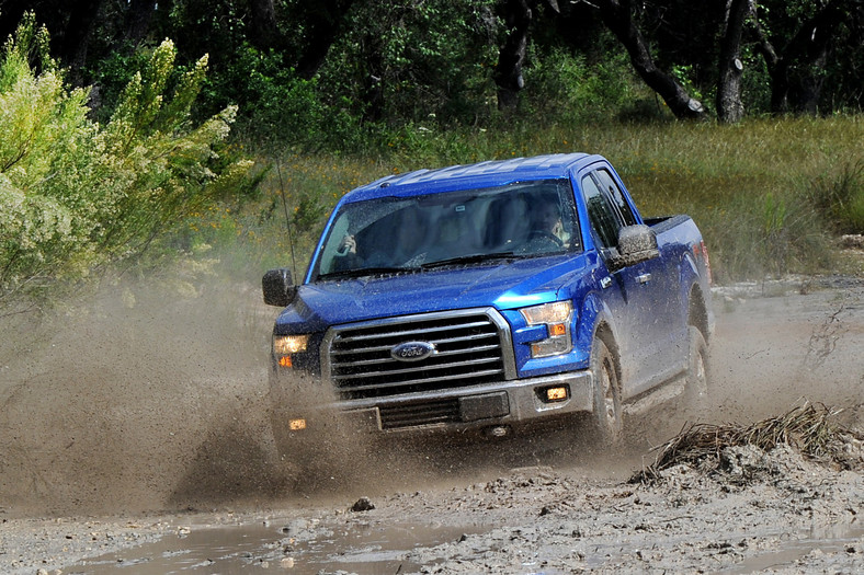 Ford F-150: Pitbull z Ameryki