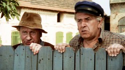 Błyskawiczny QUIZ dla fanów filmu "Sami swoi". Kargul czy Pawlak? 8/8 dla mistrzów