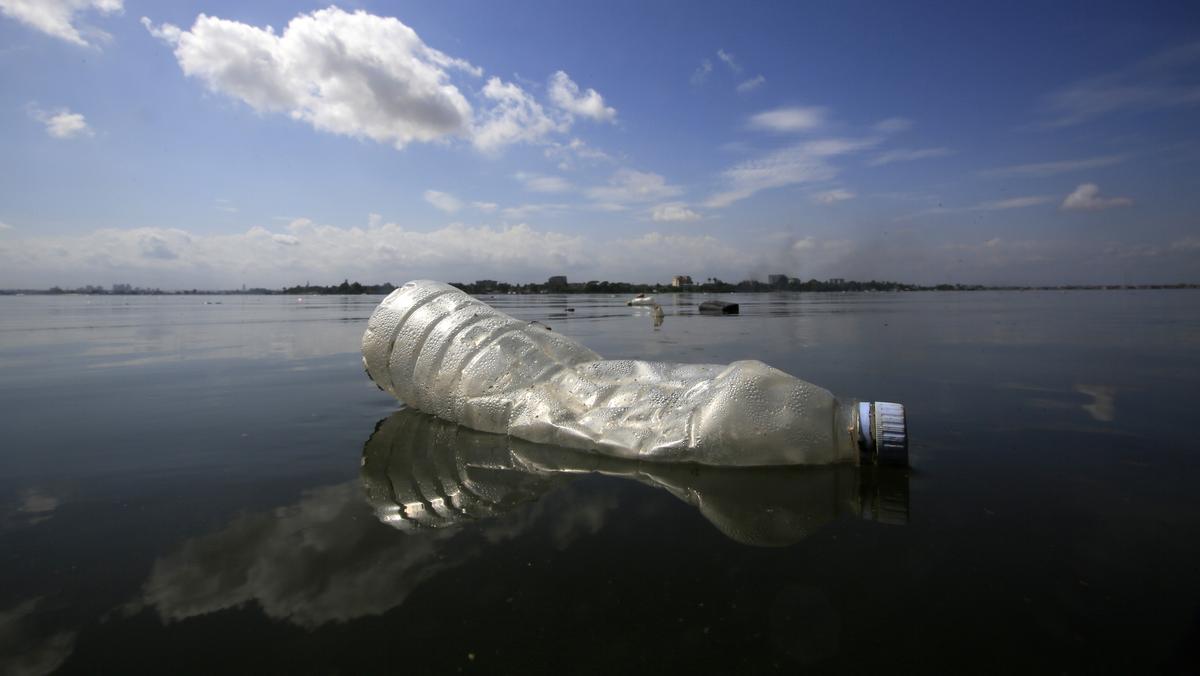 Ogromne ilości plastiku zalegają w morzach, oceanach i rzekach