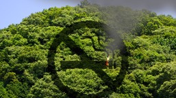 60 tys. zł pójdzie z dymkiem? polski turysta słono zapłaci za wykroczenie