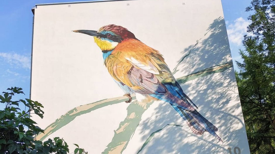 Murale ptaków