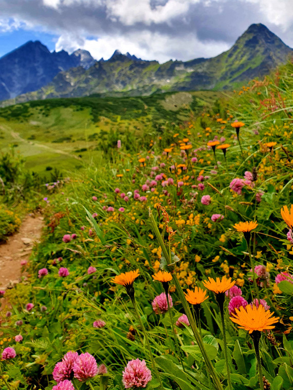 Tatry Słowackie