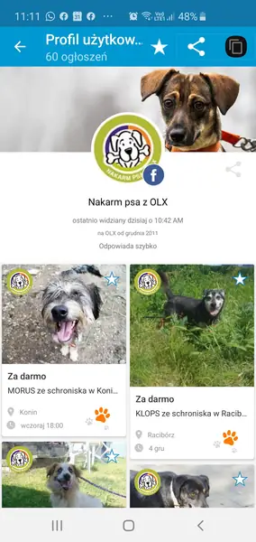 Portal OLX ruszył z kampanią Nakarm psiaka