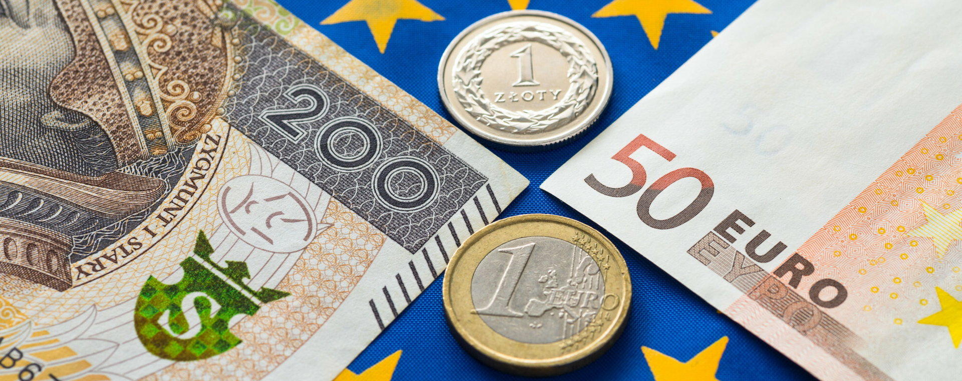Euro i złote - banknoty i monety