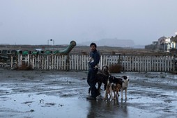 Kadr z filmu „Dogman, na zdjęciu Marcello Fonte.  Fot. Materiały prasowe