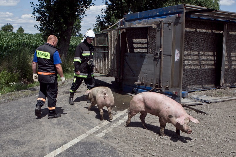 Wypadek wydarzył się w okolicach miejscowości Wilczyce