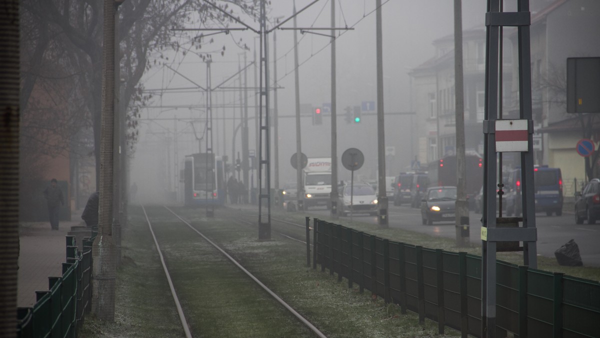 Jeszcze ok. 17 tys. palenisk węglowych pozostało do likwidacji w Krakowie – powiedziała w środę dziennikarzom dyrektor Wydziału Kształtowania Środowiska UMK Ewa Olszowska-Dej. Od 1995 r. w mieście zlikwidowano ponad 26 tys. pieców i 5 tys. kotłowni węglowych.