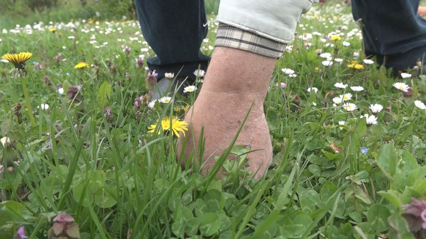 Tri biljke kojima je oduševljen su sremuš, kopriva i šipurak