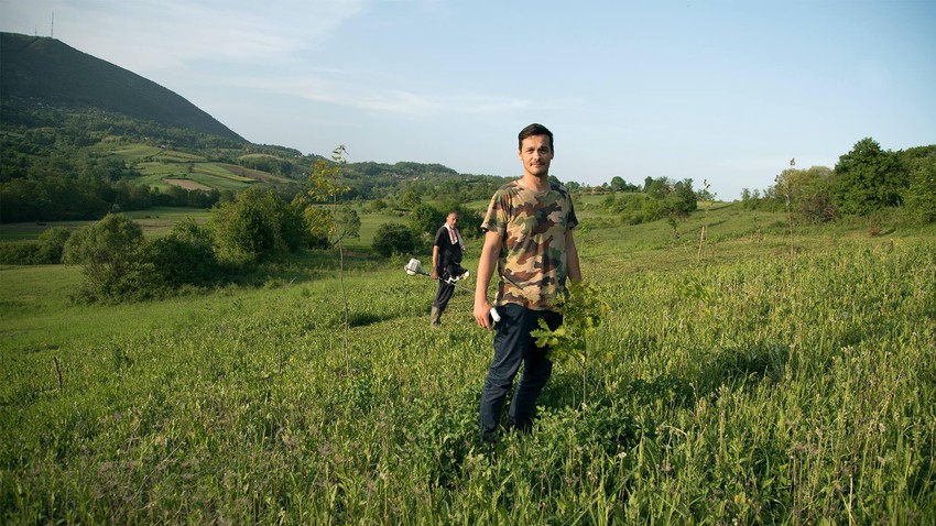 Stefan među sadnicama