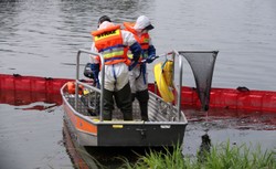 Śnięte ryby w Odrze. PiWet opublikował najnowsze badania