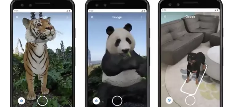 Google wprowadza do wyszukiwarki zwierzęta w rozszerzonej rzeczywistości