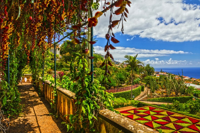 Ogród botaniczny w Funchal