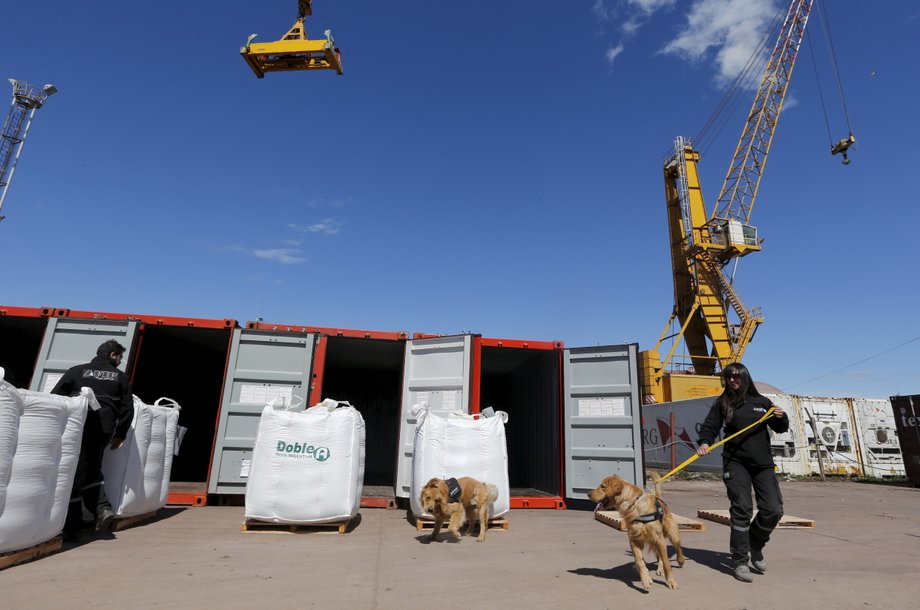 An official from the AFIP tax agency walks her sniffer dog by the port of Rosario, September 10, 2015.