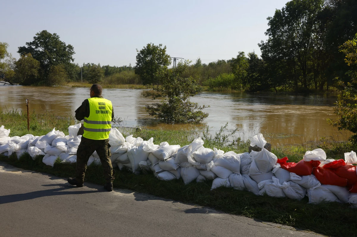  Przez Oławę przechodzi fala powodziowa. Alarm i wielka mobilizacja FOTO