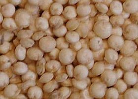quinoa-noveny-gabona-d00000F72a56879ff114c