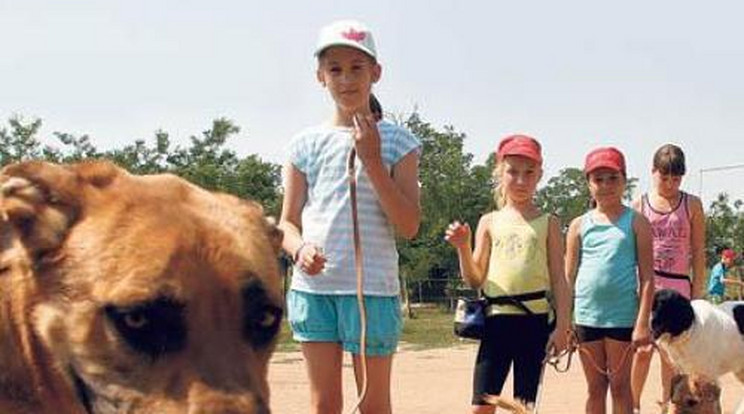 Kölcsönkutya visszajár