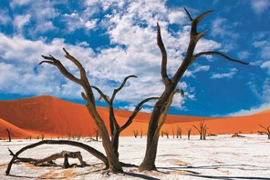 Deadvlei (tzw. martwe bagno) w parku Namib-Naukluft w Namibii