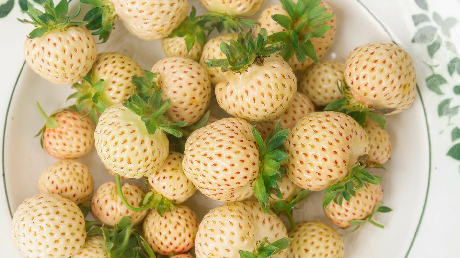 Pineberry to truskawka o jasnym kolorze - Olga/stock.adobe.com