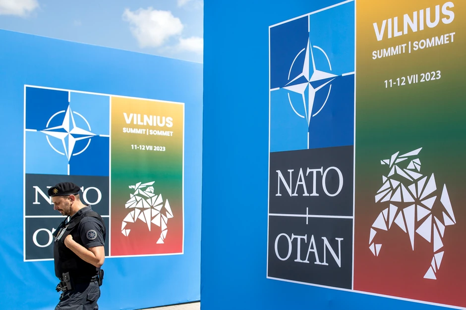NATO samit u Viljnusu, Litvanija