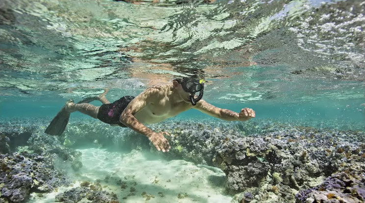 Barack Obama leköszönő amerikai elnök Hawaii partjainál merült a habokba, s így került egy magazin
címoldalára