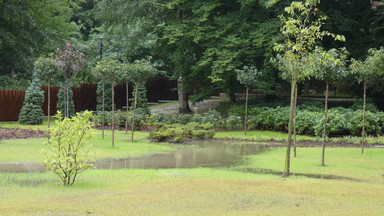 Ogród Japoński w Chorzowie zalany. "To planowane. Teraz ryż należy sadzić"