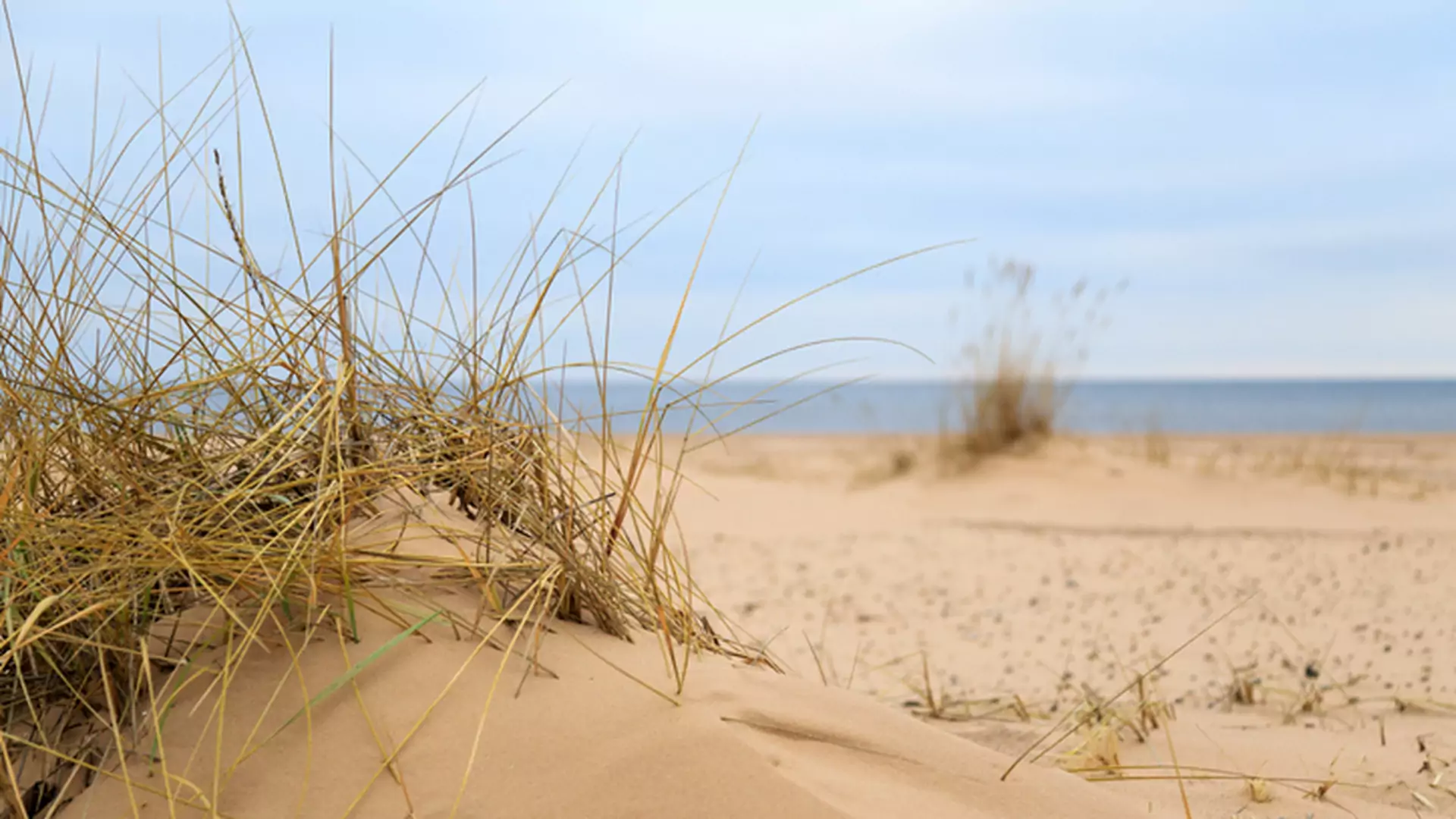 Smutny widok bałtyckiej plaży - "zimą morze oddaje to, co dostało latem!"