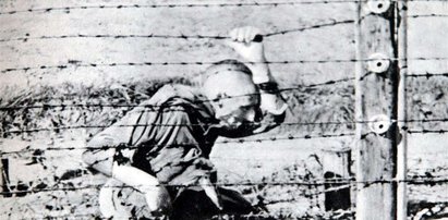 "Hitler nie wiedział o Auschwitz". Co za brednie?!