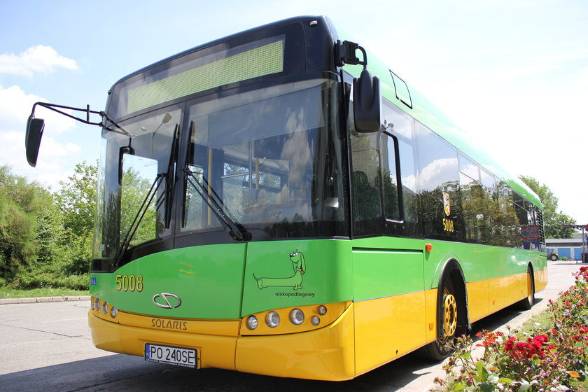 Poznański autobus