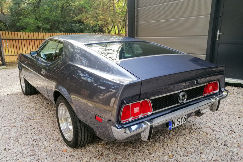 Ford Mustang Adama Klimka na sprzedaż